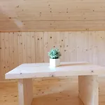 Medvidske