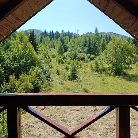 Medvidske Holiday home *