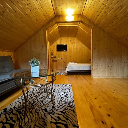 Medvidske Holiday home